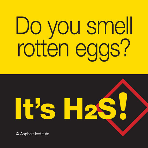 H2S HHSTKR1 Sticker  Do You Smell Rotten Eggs? (No graphic)
