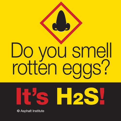 H2S HHSTKR2 Sticker  Do You Smell Rotten Eggs? (Nose Graphic)