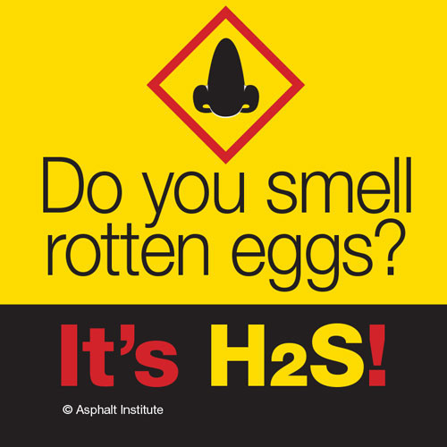 H2S HHSTKR2 (single) Sticker  Do You Smell Rotten Eggs? (Nose Graphic)